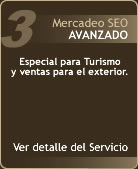 Posicionamiento Web Avanzado