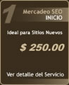 Mercadeo Web en Costa Rica, Plan Inicio