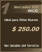 Mercadeo Web Inicio