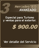 Posicionamiento Web Avanzado